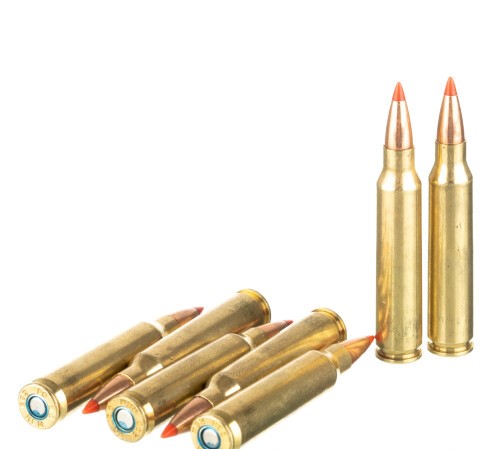100 Rounds of .223 Ammo by Federal Varmint & Predator – 53gr V-MAX