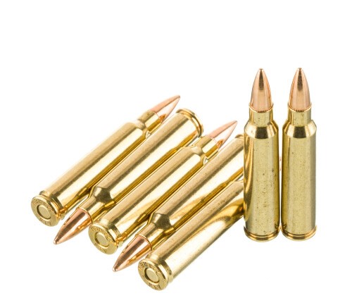 1000 Rounds of .223 Ammo by Patriot Sports – 55gr FMJ