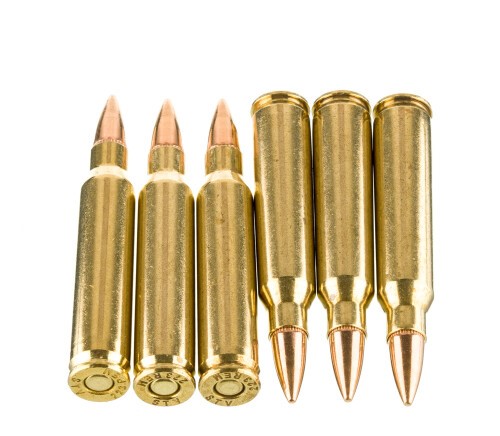 1000 Rounds of .223 Ammo by Patriot Sports – 55gr FMJ