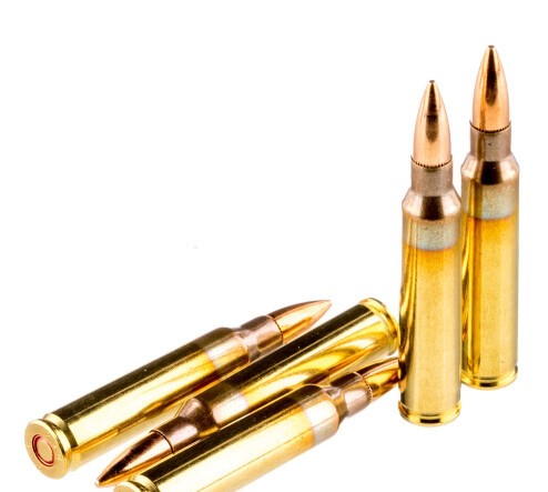 1000 Rounds of 5.56×45 Ammo by PMC – 55gr FMJ