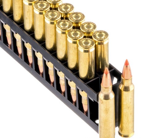 200 Rounds of .223 Ammo by Hornady Superformance Varmint – 53gr Polymer Tipped