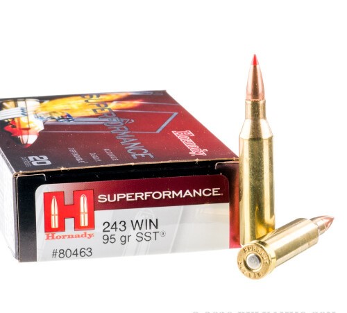 200 Rounds of .243 Win Ammo by Hornady Superformance – 95gr SST