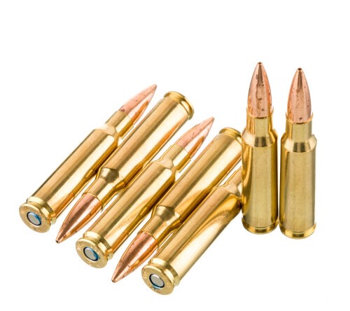 200 Rounds of .308 Win Ammo by Federal Gold Medal CenterStrike – 168gr OTM