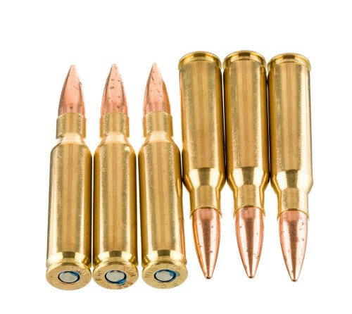 200 Rounds of .308 Win Ammo by Federal Gold Medal CenterStrike – 168gr OTM