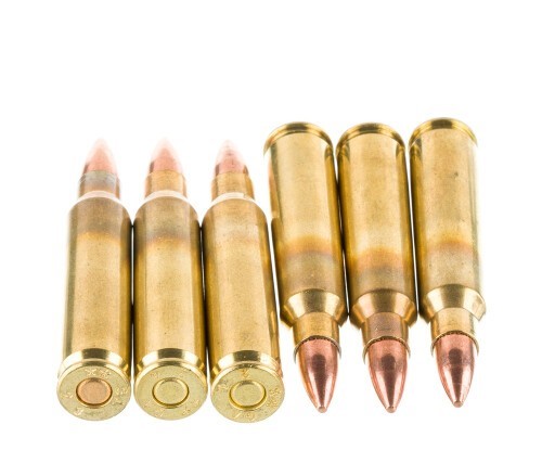 250 Rounds of .223 Ammo by American Quality Ammunition – 55gr FMJ