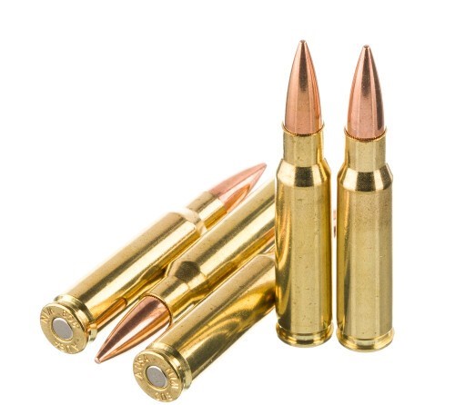 250 Rounds of .308 Win Ammo by American Quality Ammunition – 147gr FMJ