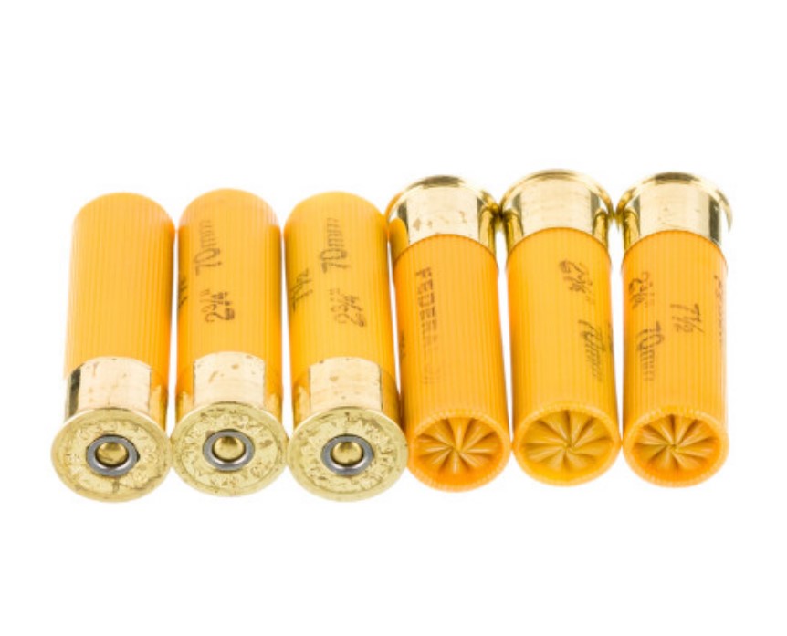 250 Rounds of 20ga Ammo by Federal Game Load Upland Hi-Brass 7.5 shot