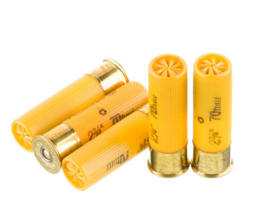 250 Rounds of 20ga Ammo by Federal Game Shok 8 shot