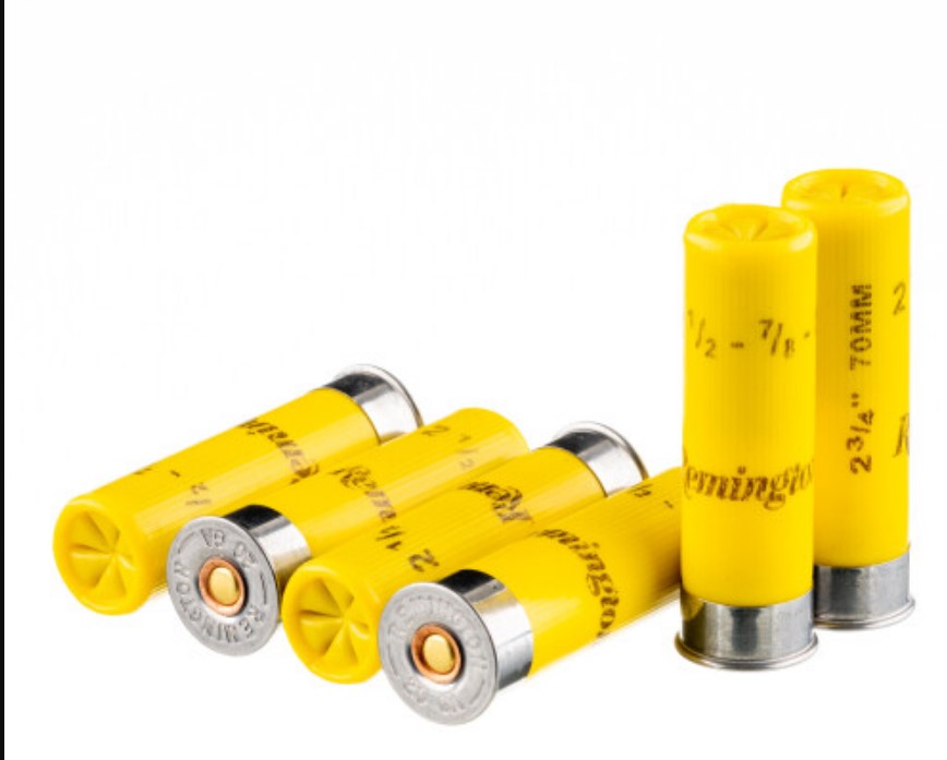 250 Rounds of 20ga Ammo by Remington Game Loads 8 Shot