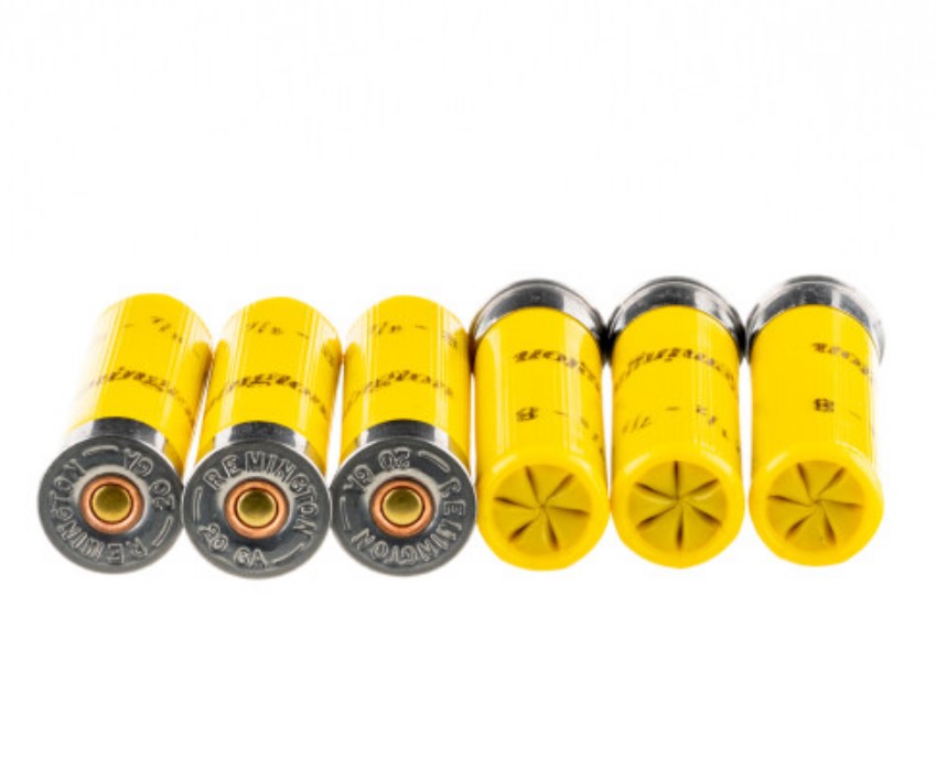 250 Rounds of 20ga Ammo by Remington Game Loads 8 Shot
