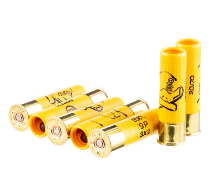 250 Rounds of 20ga Ammo by Rio 1 Buck