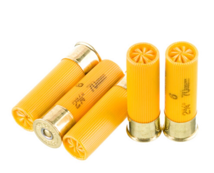 250 Rounds of 20ga Ammo by Federal 6 shot