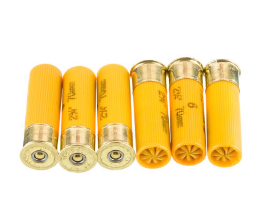 250 Rounds of 20ga Ammo by Federal 6 shot