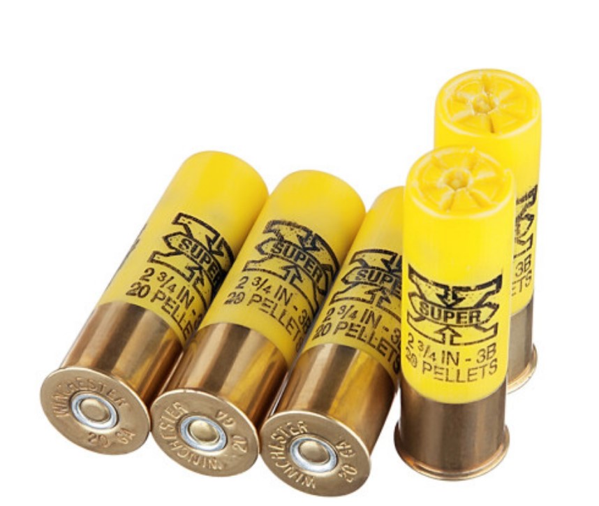 250 Rounds of 20ga Ammo by Winchester Super-X 3 Buck