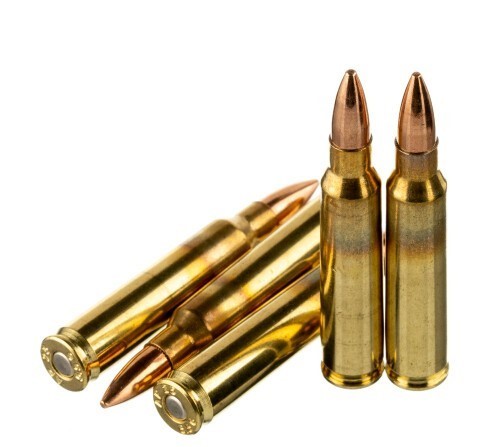 500 Rounds of 5.56×45 Ammo by American Quality Ammunition – 55gr FMJ
