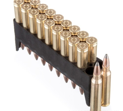 800 Rounds of .223 Ammo by PMC Bronze Hunting – 55gr SP