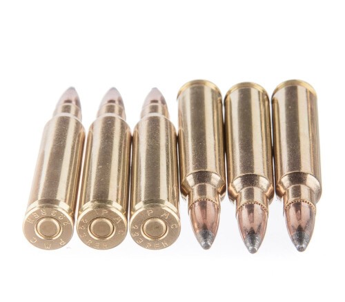 800 Rounds of .223 Ammo by PMC Bronze Hunting – 55gr SP