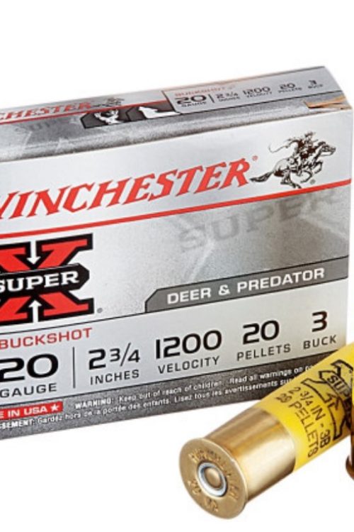 250 Rounds of 20ga Ammo by Winchester Super-X 3 Buck